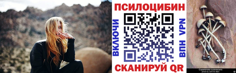 где продают   Киселёвск  Галлюциногенные грибы Psilocybe 