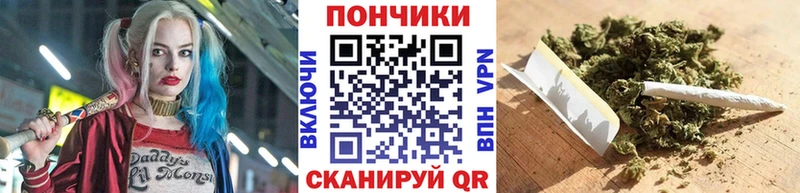 дарнет шоп  Киселёвск  MEGA tor  Шишки марихуана Bruce Banner 